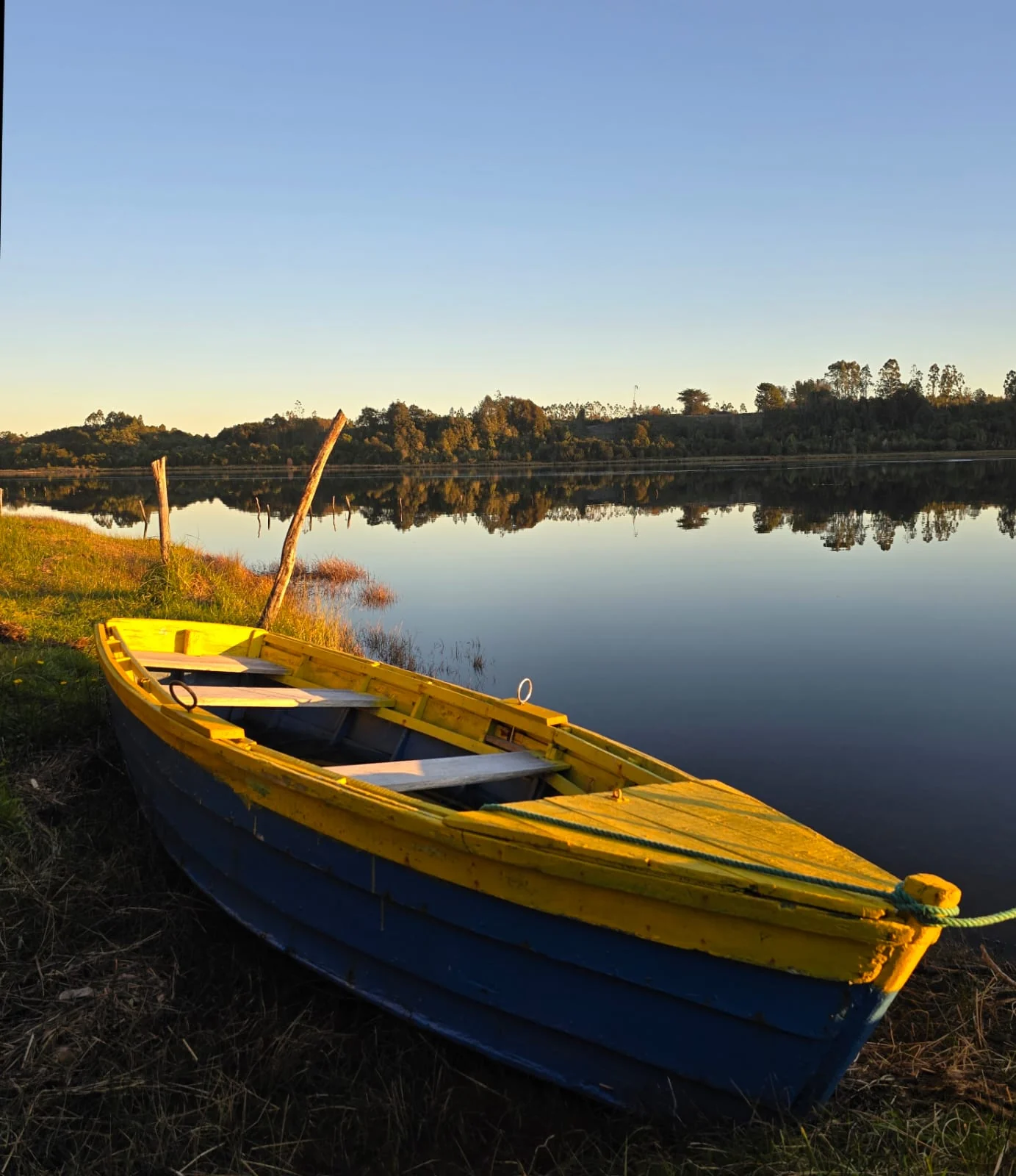 Bote amarillo junto a la ribera al atardecer