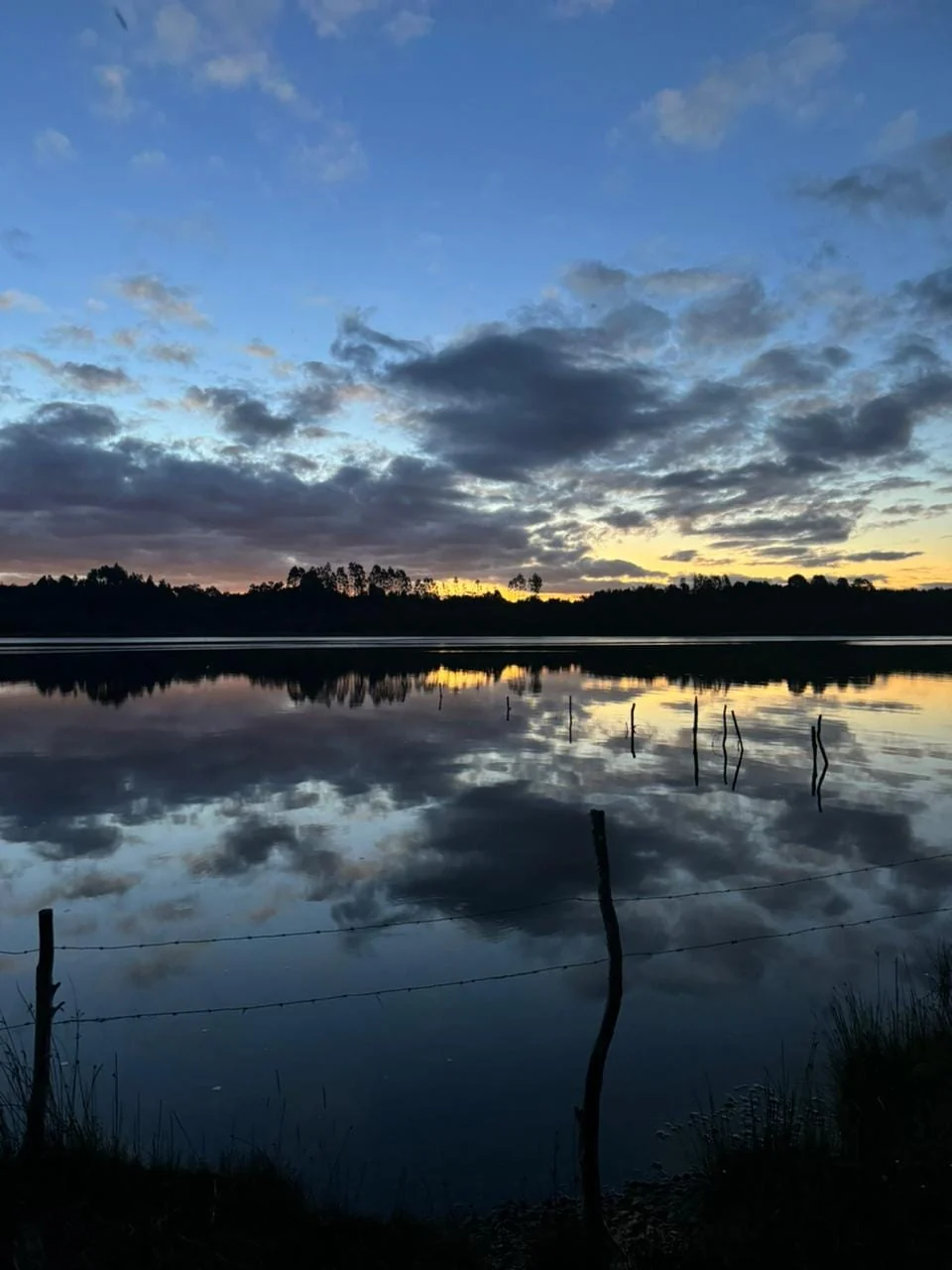 Paisaje azul del agua y el bosque al atardecer