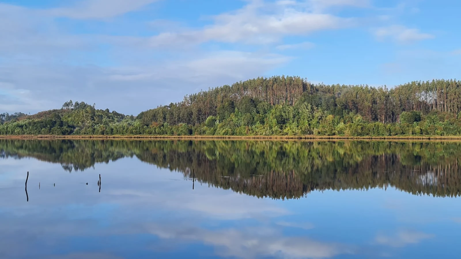 Reflejo natural del bosque sobre las aguas de Paraíso Wilkeco
