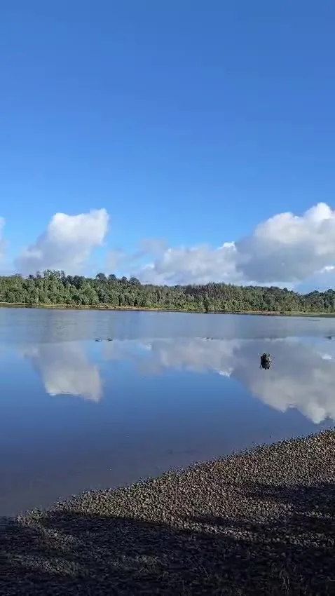 Vista en movimiento de las aguas y el entorno natural